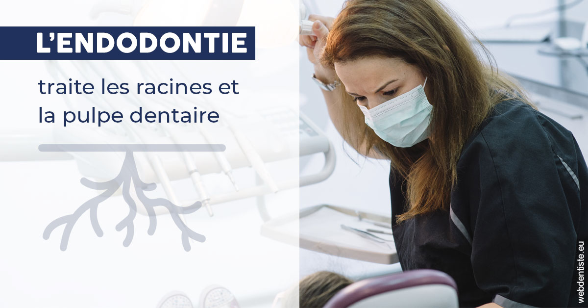 https://dr-henry-jeanluc.chirurgiens-dentistes.fr/L'endodontie 1