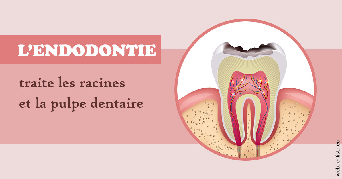 https://dr-henry-jeanluc.chirurgiens-dentistes.fr/L'endodontie 2
