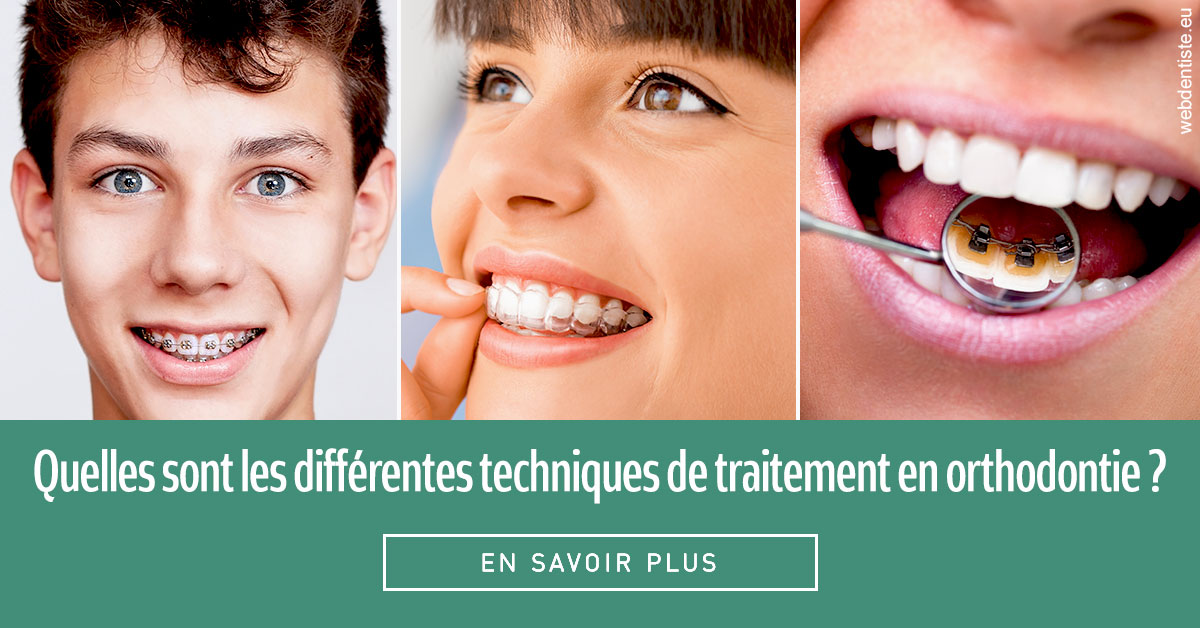 https://dr-henry-jeanluc.chirurgiens-dentistes.fr/Les différentes techniques de traitement 2