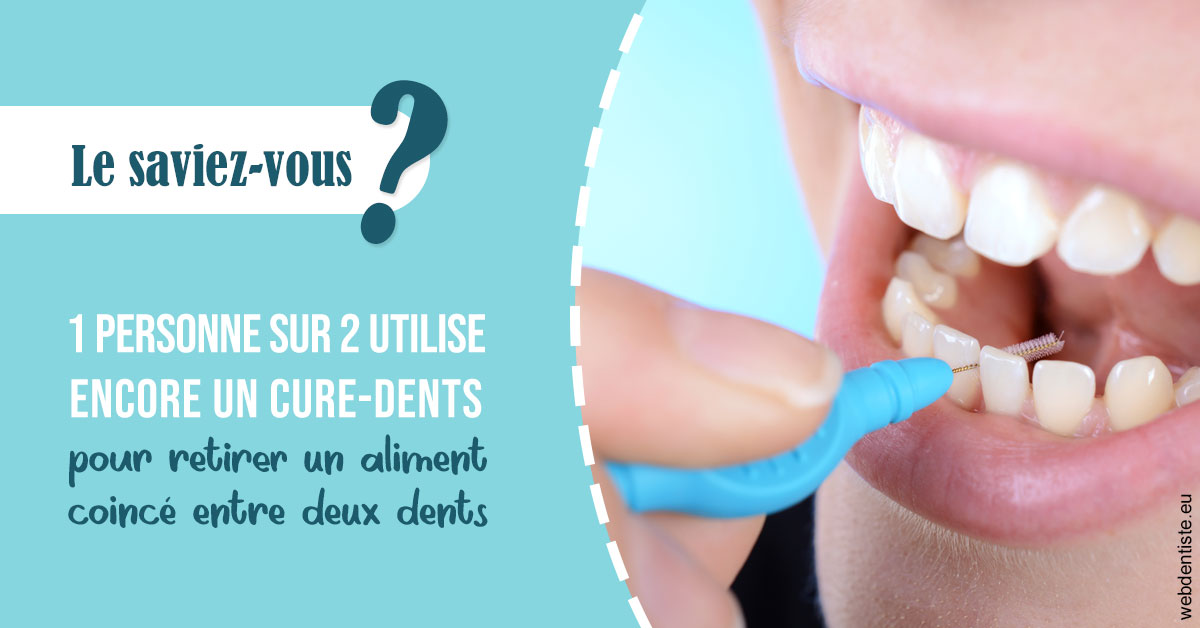 https://dr-henry-jeanluc.chirurgiens-dentistes.fr/Cure-dents 1
