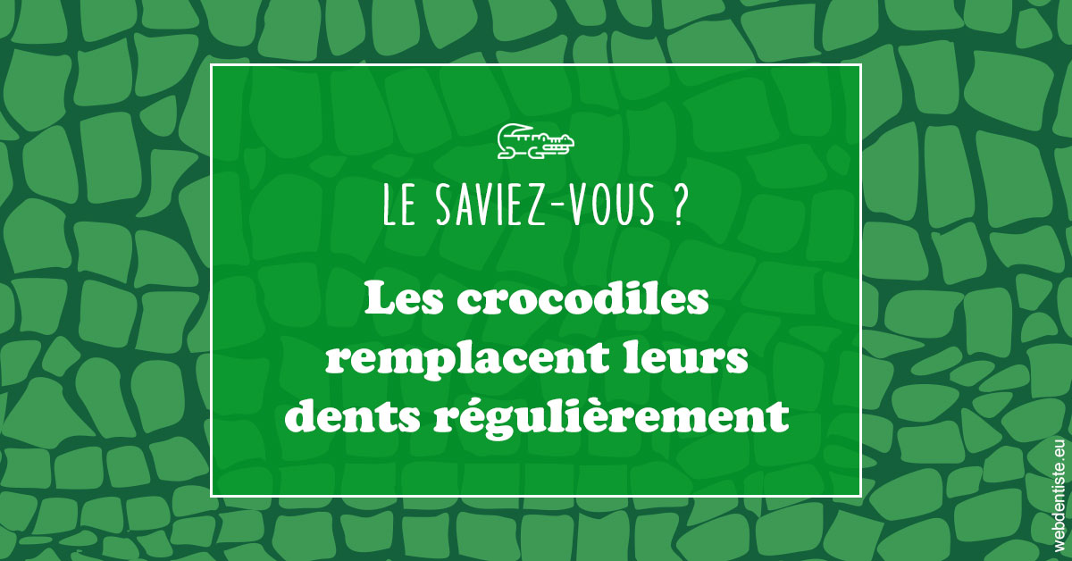 https://dr-henry-jeanluc.chirurgiens-dentistes.fr/Crocodiles 1